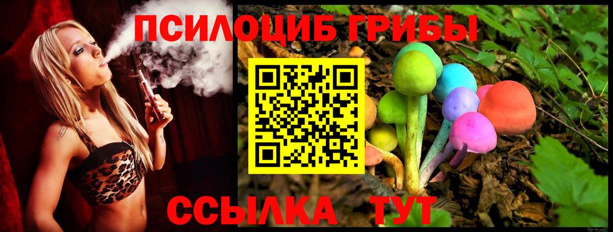 Галлюциногенные грибы Cubensis Егорьевск